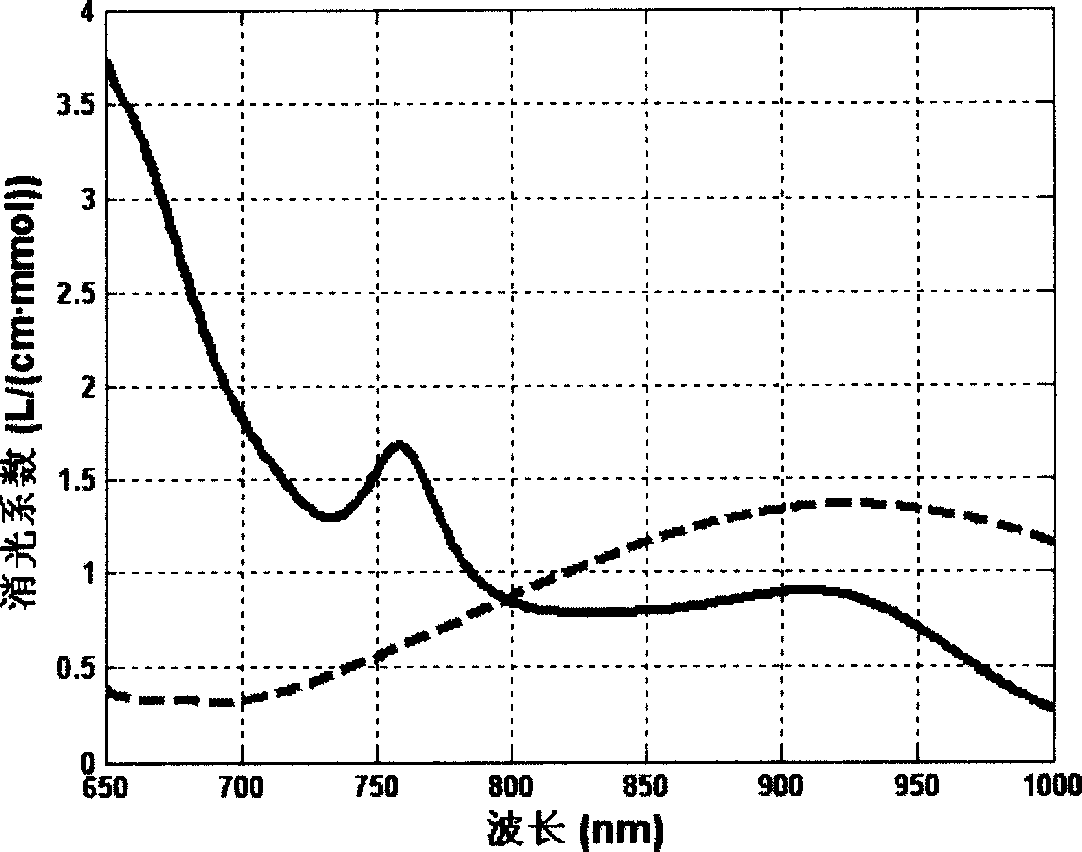 Method for testing absolute volume of concentration of oxidized hemoglobin and reduced hemoglobin in human tissue