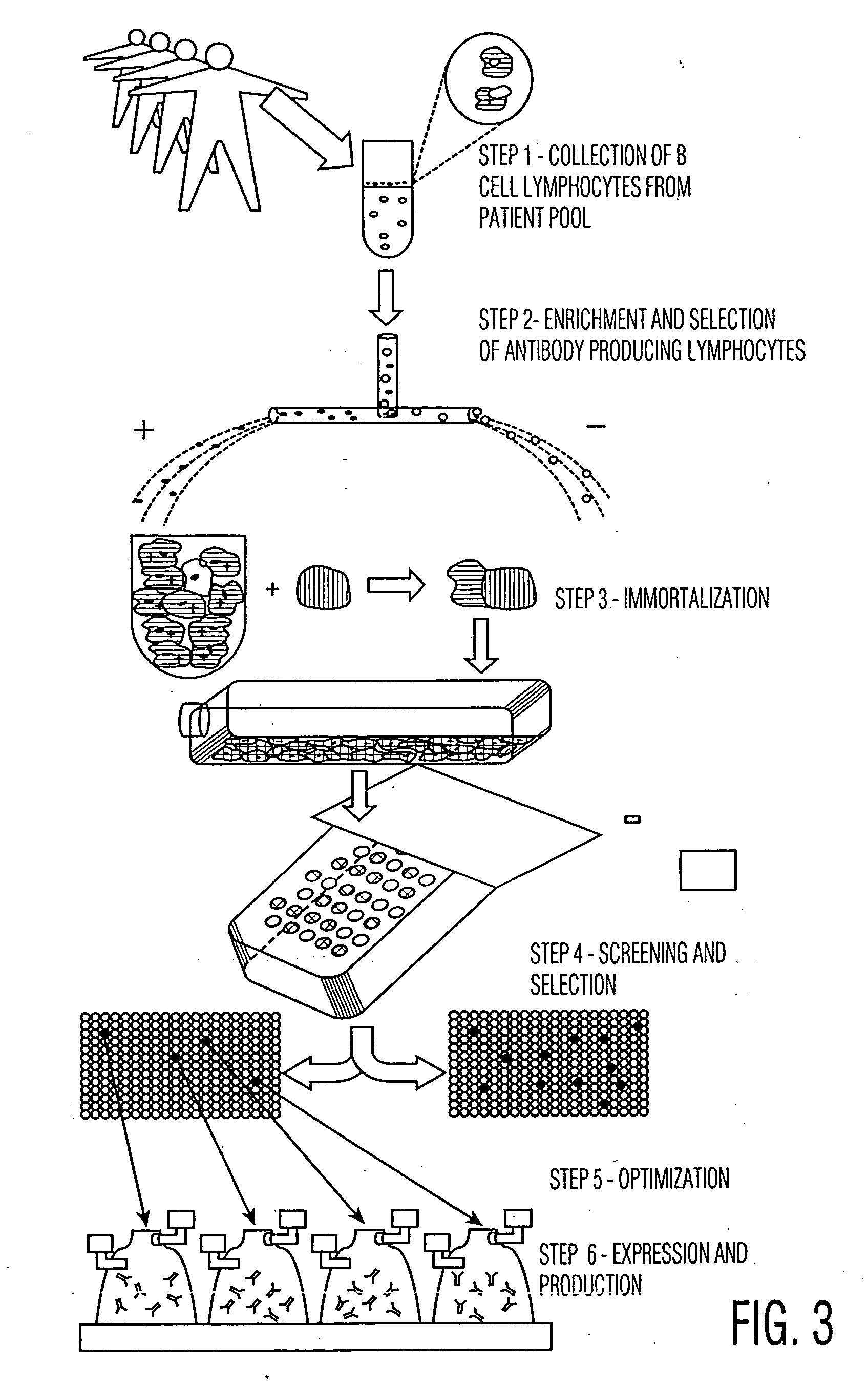 Screening antibodies using an optical fiber array device capable of simultaneously performing multiple functional assays