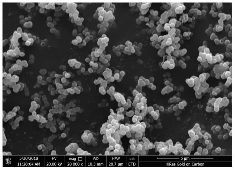 Preparation method of neodymium-doped tin dioxide photocatalytic material