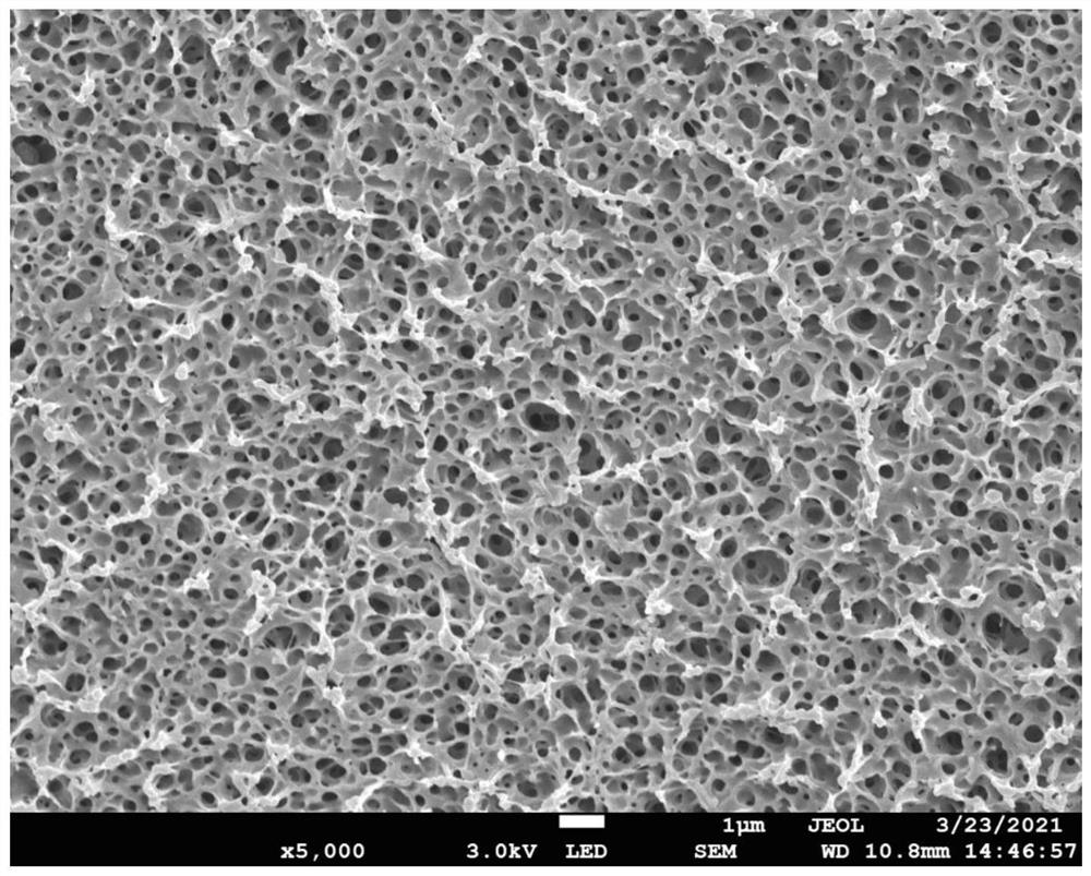 Poly (4-methyl-1-pentene) hollow fiber alloy membrane as well as preparation method and application thereof