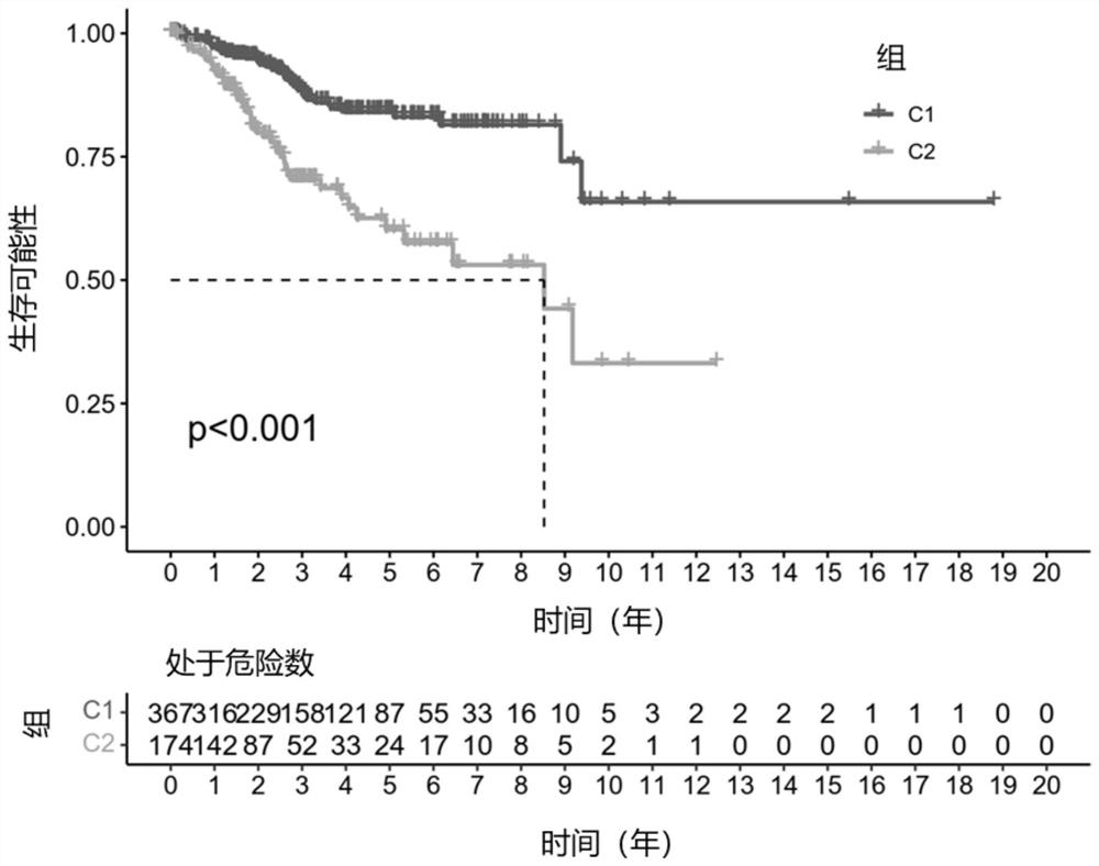 Prognosis model of metabolism-related endometrial cancer and construction method