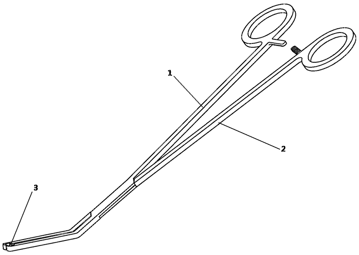 Orthopedic-screw guiding positioning forceps