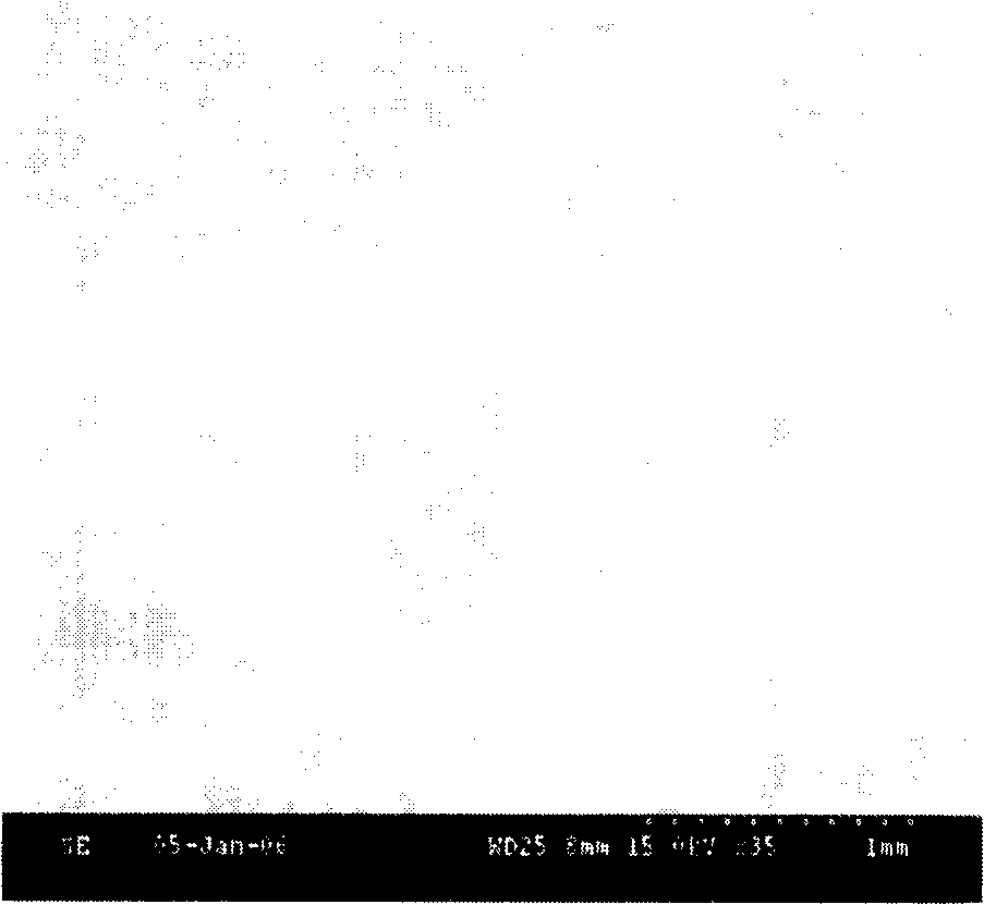 Bone-repairing material and preparing method thereof