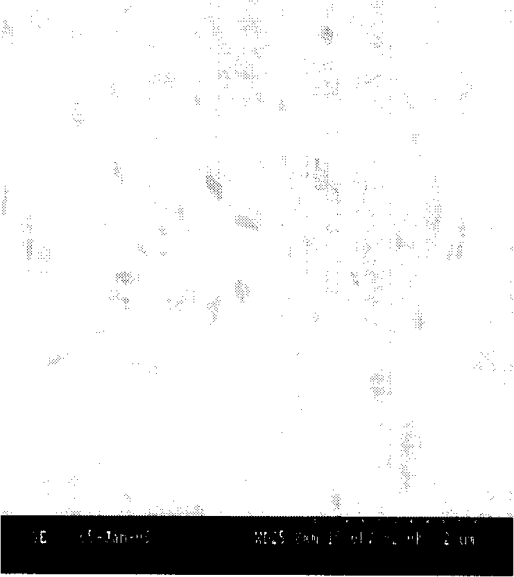 Bone-repairing material and preparing method thereof