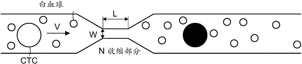 Selective delivery of material to cells