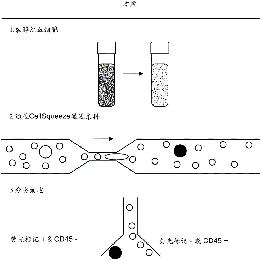 Selective delivery of material to cells