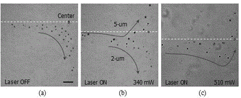 Optical flow control chip utilizing impinging stream and optical scattering force and application thereof for sorting micro-nano particles