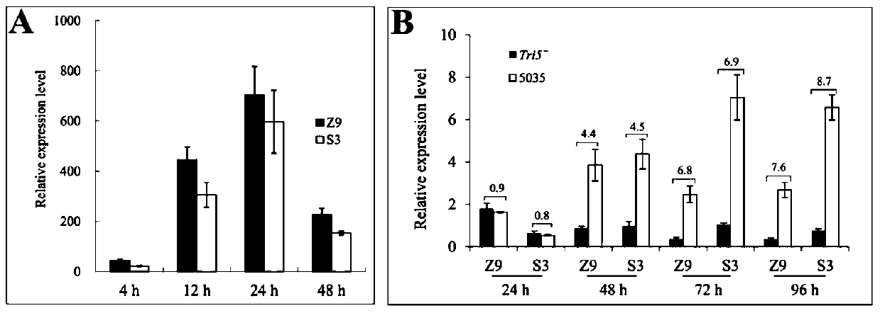 Using wheat genes to improve don and fhb resistance in Arabidopsis