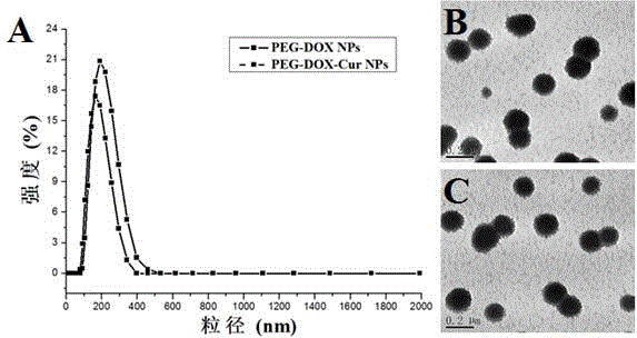 pH sensitive nanoparticles prodrug with capacity of co-delivering multiple drugs, preparation method and application thereof