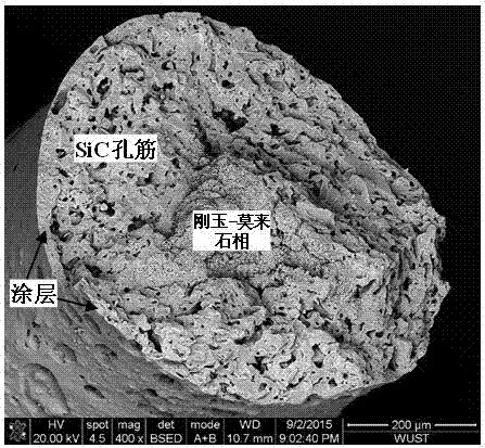 Silicon carbide-based composite foam ceramics with multi-layer pore-reinforcement structure and preparation method thereof