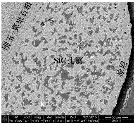 Silicon carbide-based composite foam ceramics with multi-layer pore-reinforcement structure and preparation method thereof