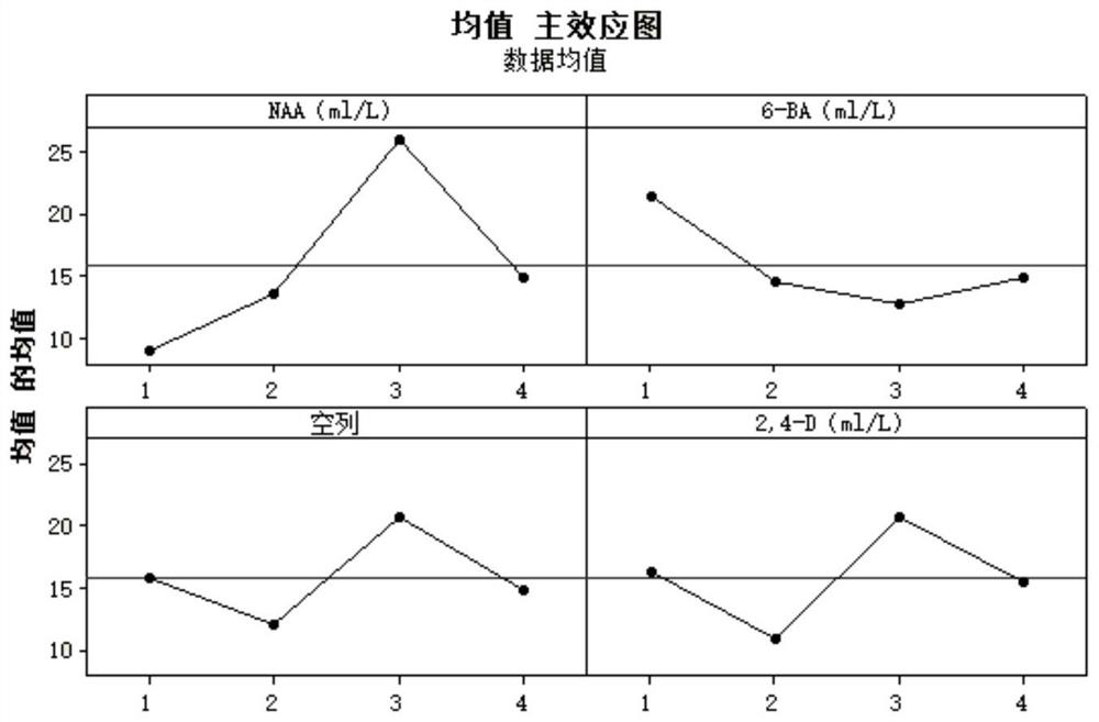 Method for Rapid Propagation of Garlic Callus and Propagation of Improved Varieties