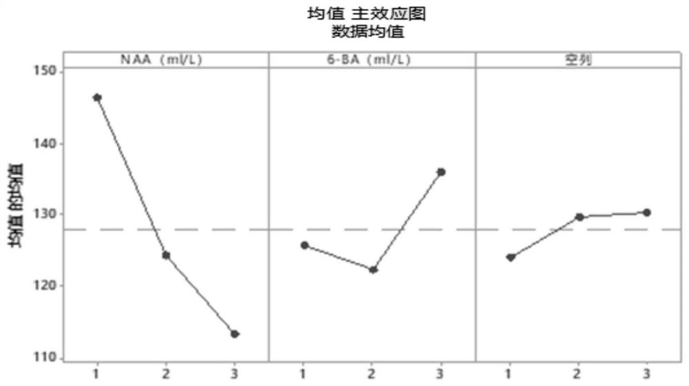 Method for Rapid Propagation of Garlic Callus and Propagation of Improved Varieties