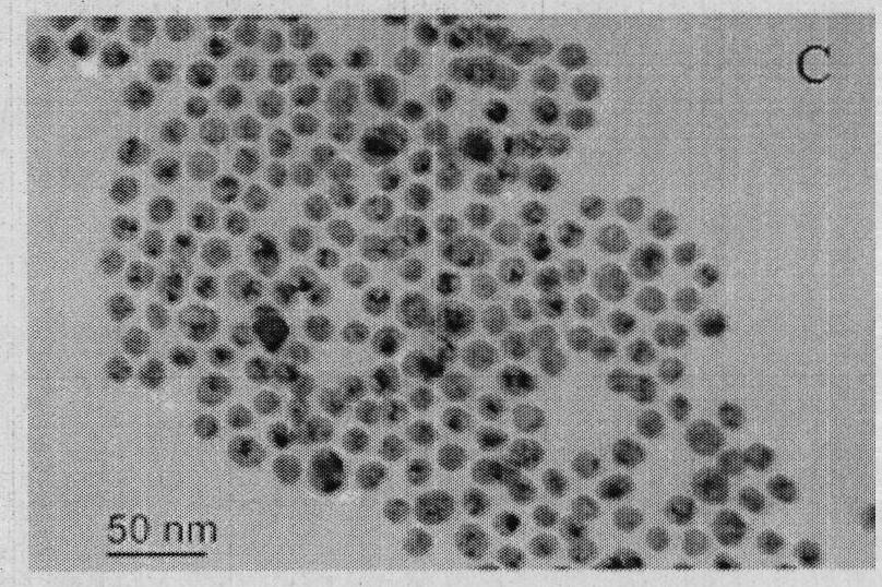 Trithiocyanuric acid dressed gold-size nanoprobe-based colorimetric determination method of mercury ions