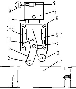 Sugarcane section position detection device