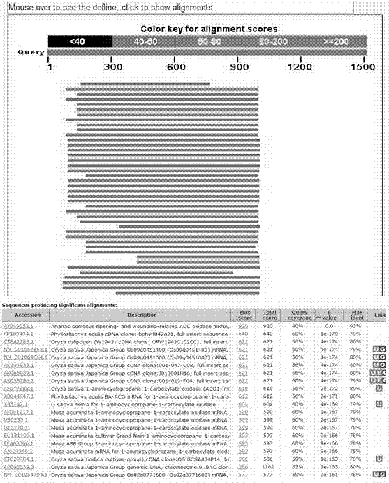 Guzmania ACC oxidase gene and applications