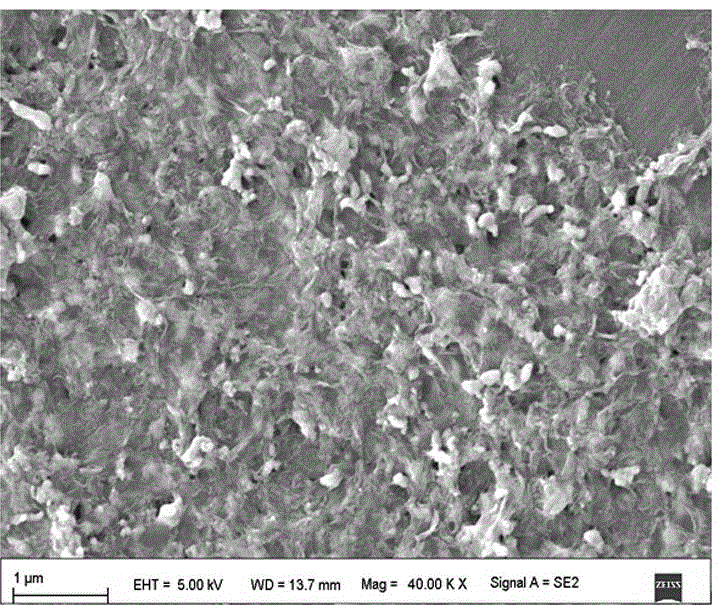 Bismuth tungstate nanocomposite, and preparation method and application thereof