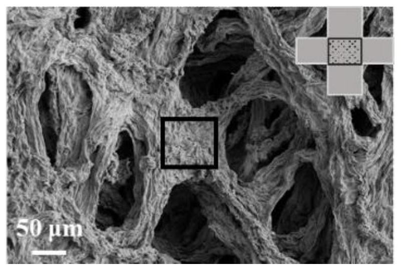 Heteroatom-doped graphene nanofiber non-woven fabric and preparation method thereof