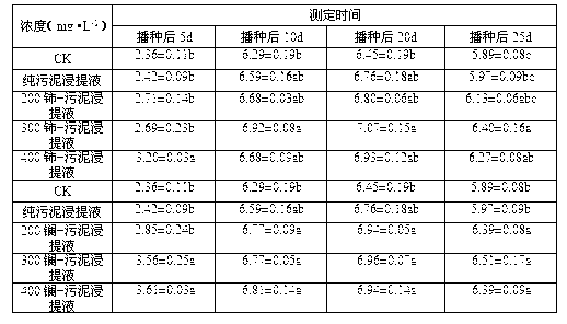 Method for regulating festuca arundinacea protective enzyme under water stress by using sludge and rare earth mixed seed soaking liquid