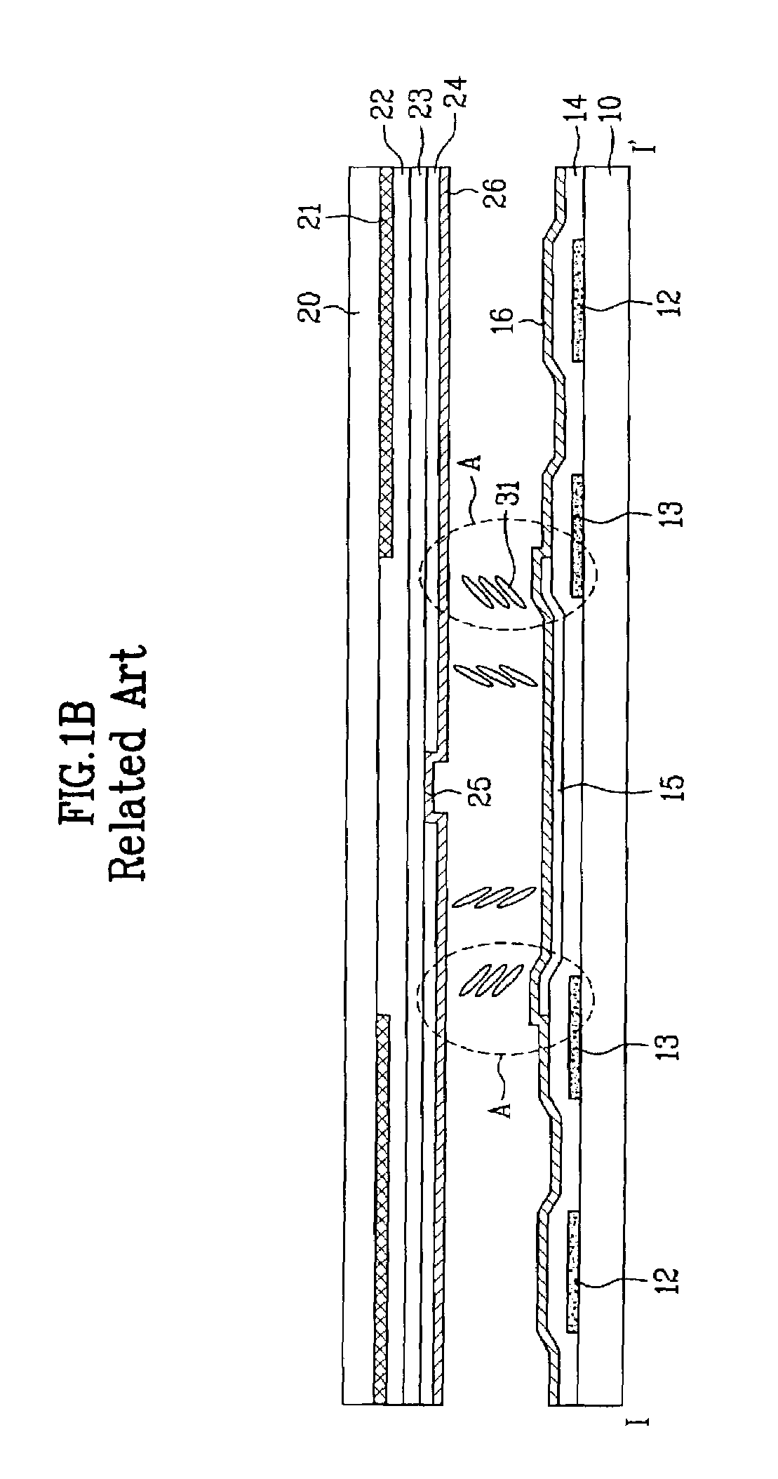 Liquid crystal display device having an auxiliary electrode corresponding to the periphery of the pixel electrode in only one of at least two domain