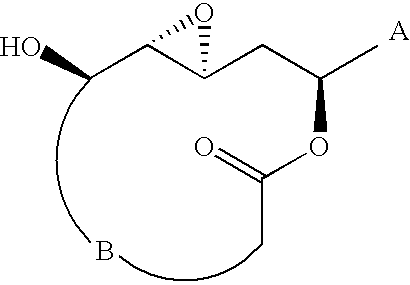 Laulimalide microtubule stabilizing agents