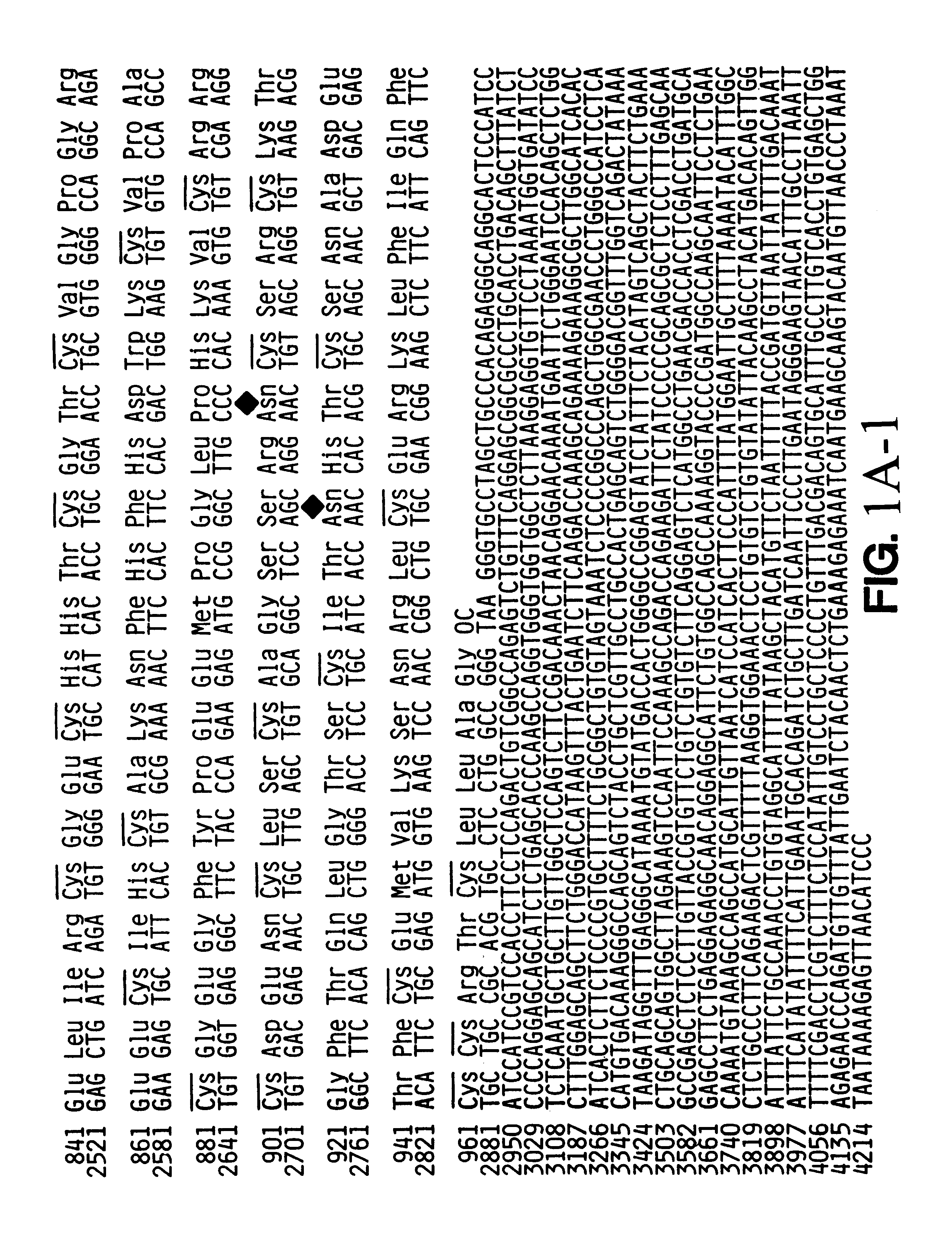 Compositions and methods for pace 4 and 4.1 gene and polypeptides in cells