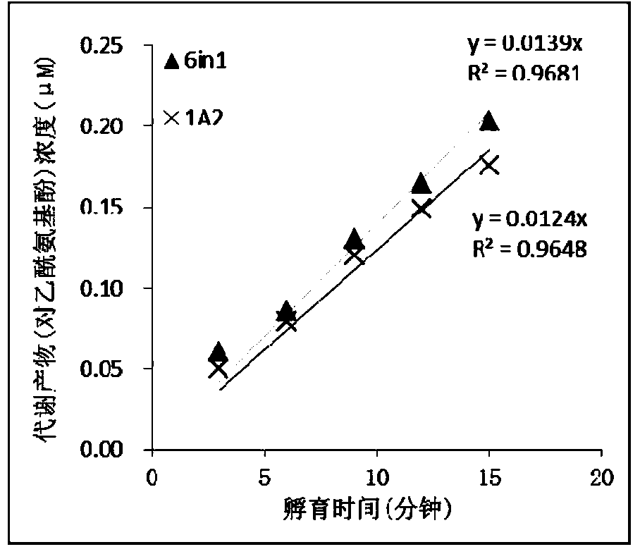 Specific probe substrate composition of cytochrome P450 enzyme and application of specific probe substrate composition