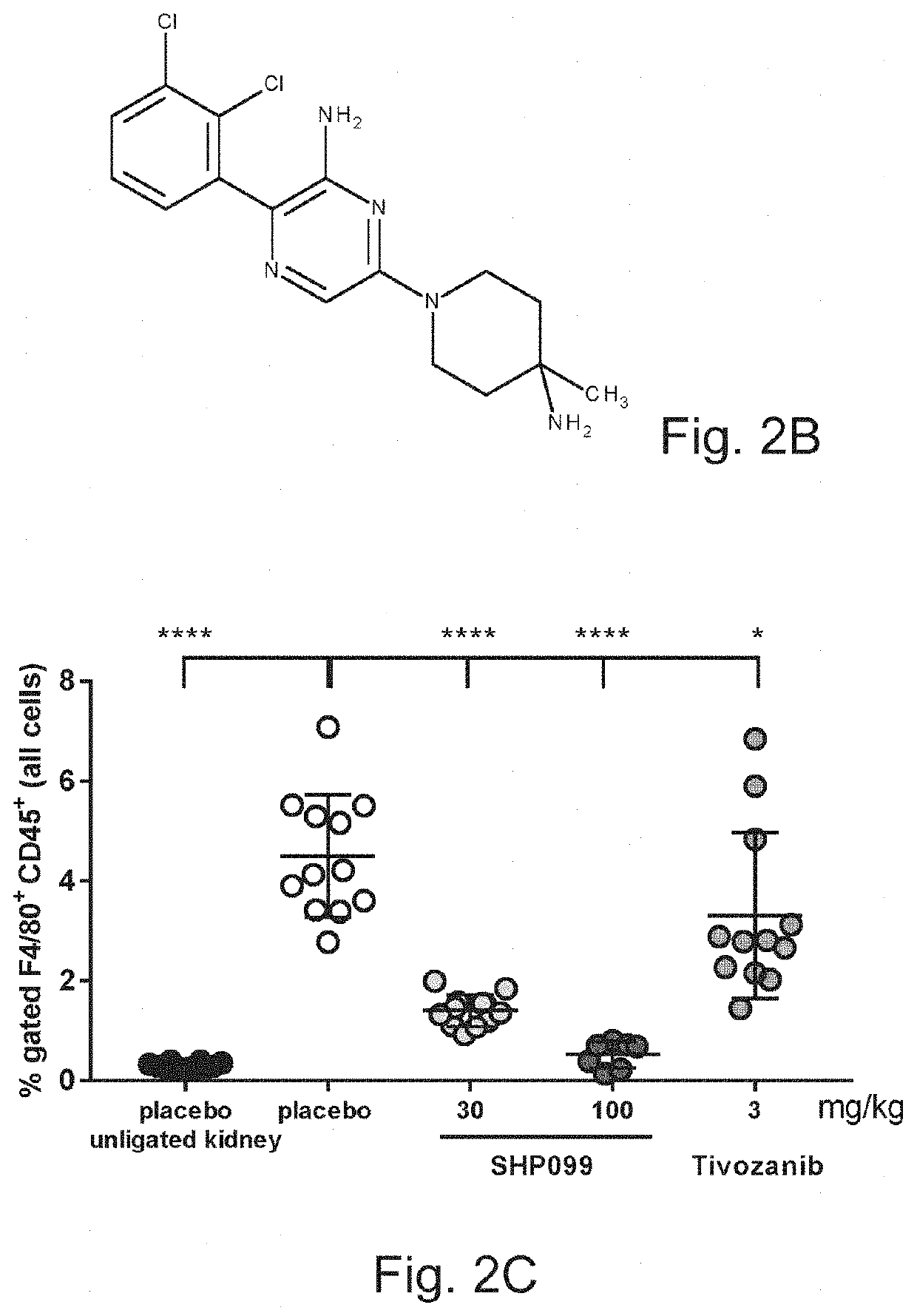 Inhibitors of shp2