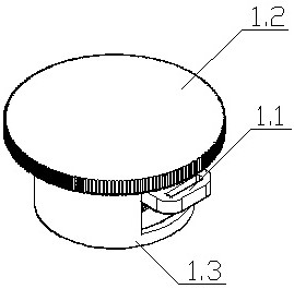 Ankle ligament stretching device