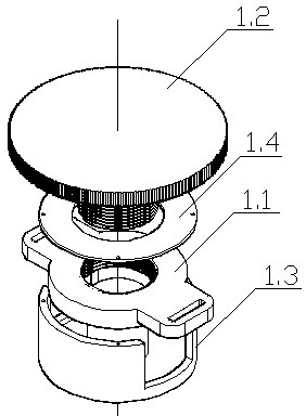 Ankle ligament stretching device