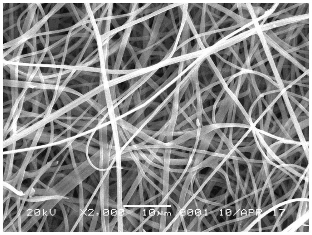 A kind of chitosan embedded palladium nanofiber catalyst and its preparation method and application