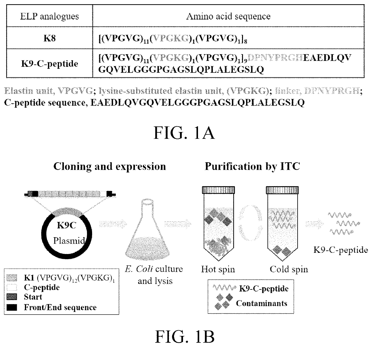 Pharmaceutical composition for preventing or treating diabetic complications