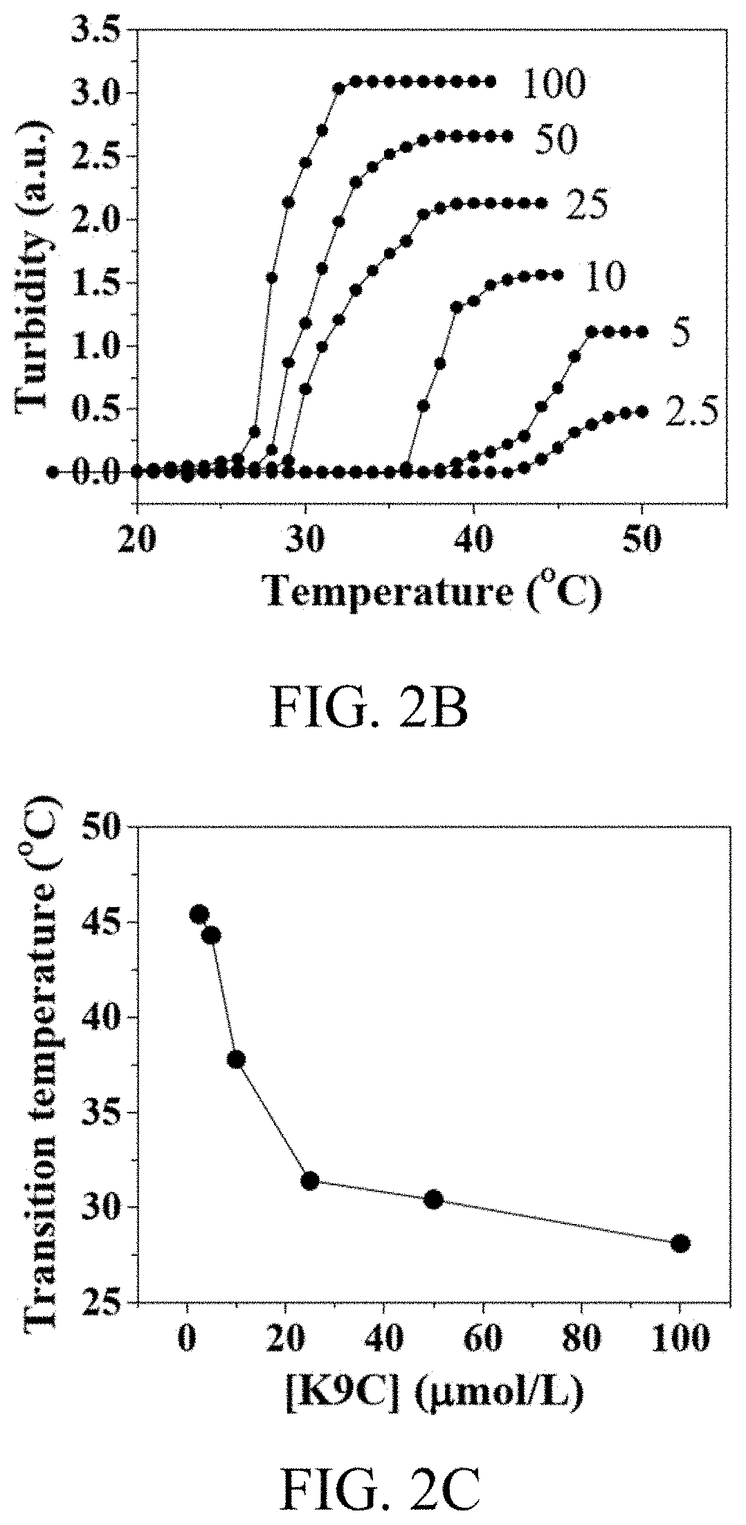 Pharmaceutical composition for preventing or treating diabetic complications