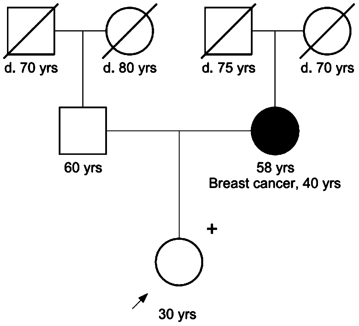 Tumor susceptibility 62 gene and its application