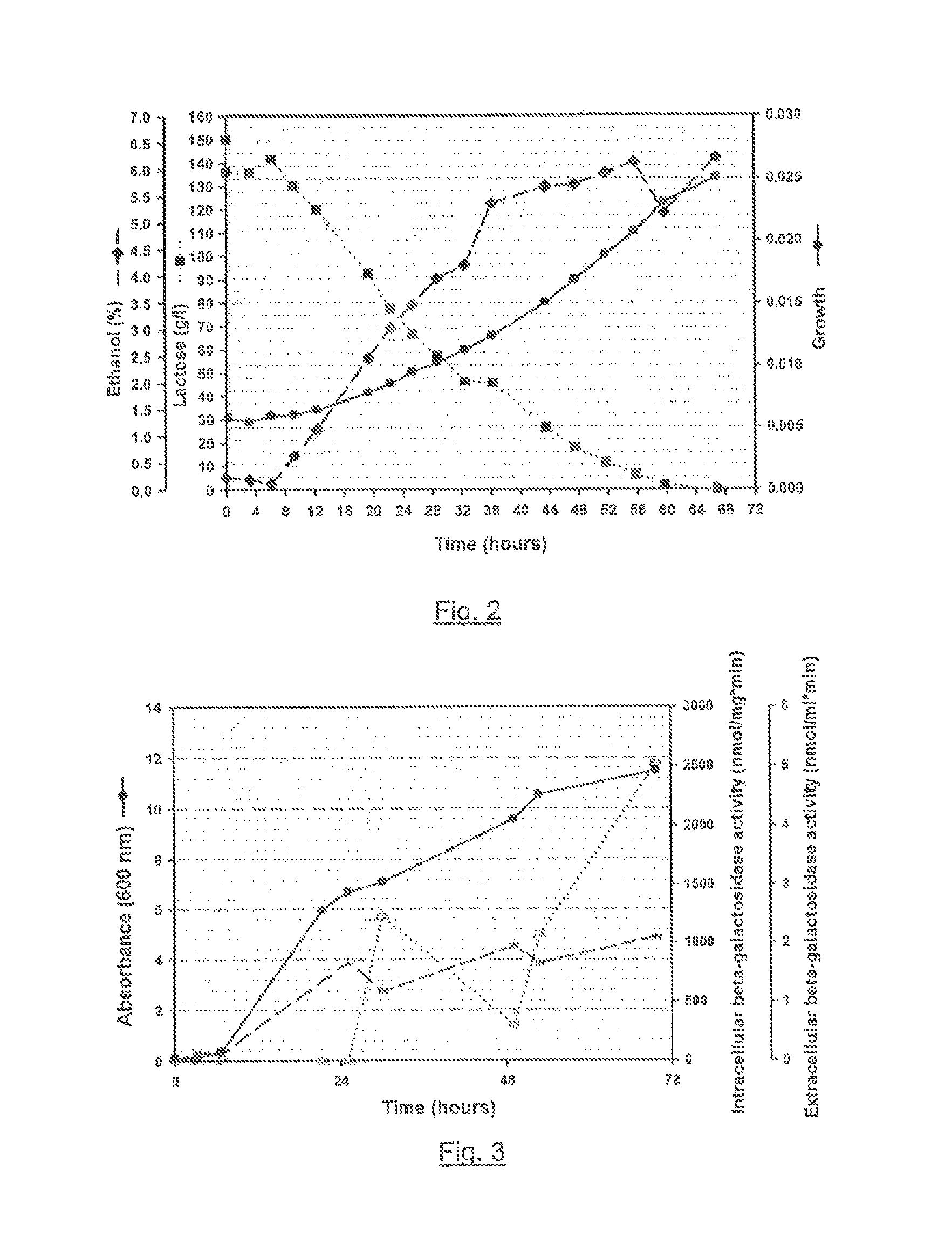 Kluyveromyces lactis yeast strain and methods for the production of sugars, ethanol, beta-galactosidase and biomass