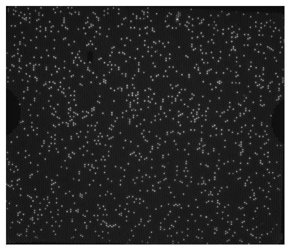 Quantitative detection method of specific nucleic acid fragments based on CRISPR technology