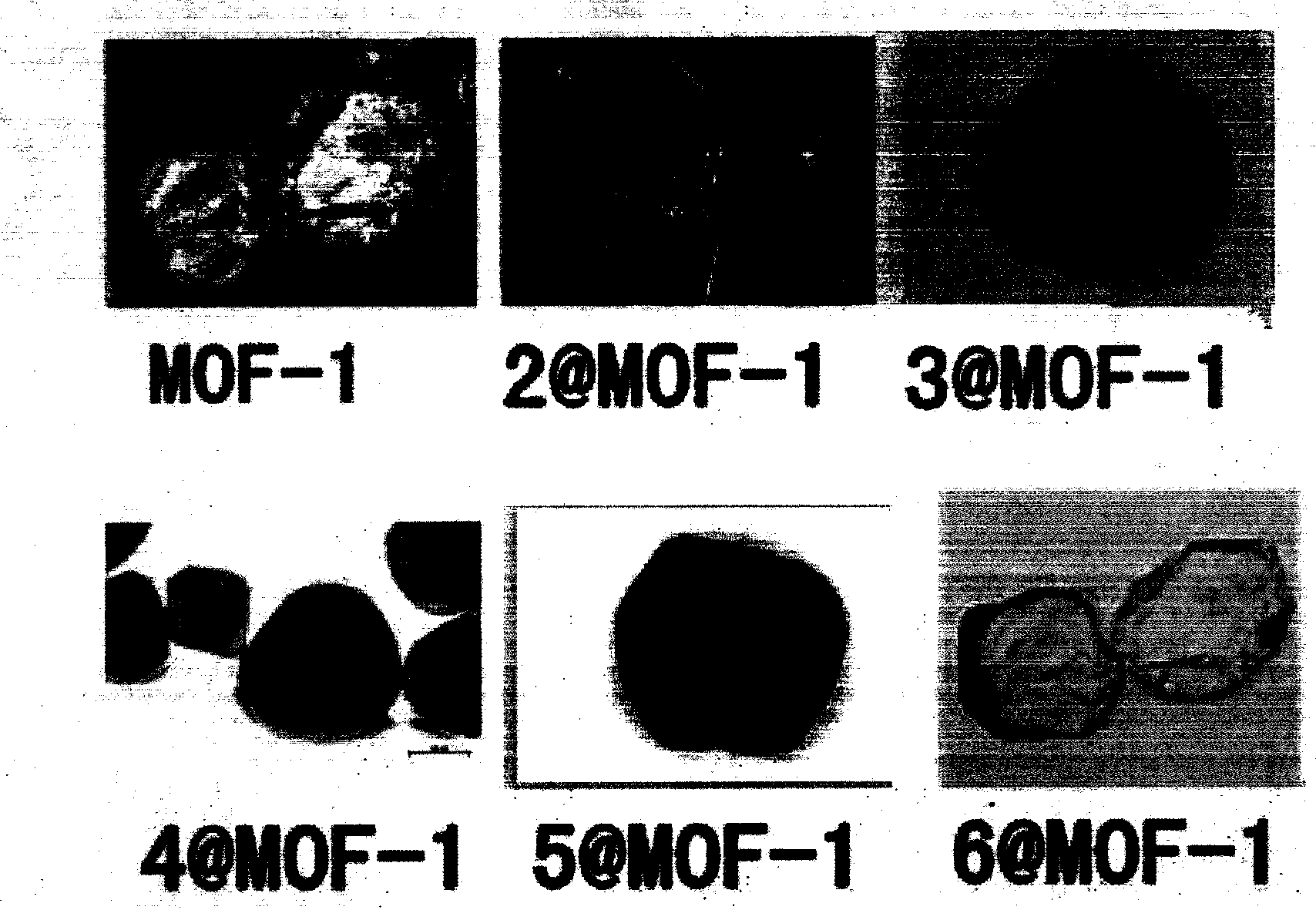 Preparation method and properties of series of organometallic host-guest composite materials