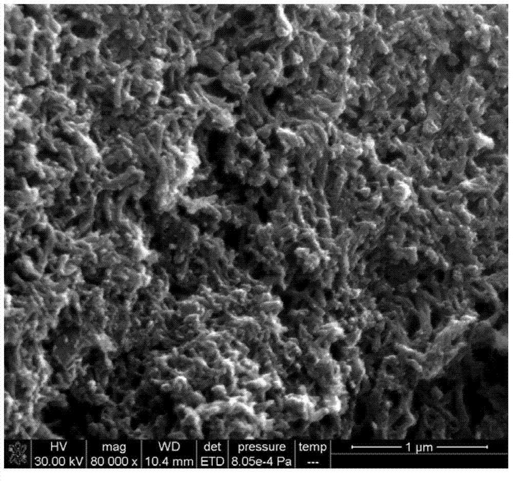 Porous polyaniline-doped nano fiber material with three-dimensional structure as well as preparation method and application of porous polyaniline-doped nano fiber material