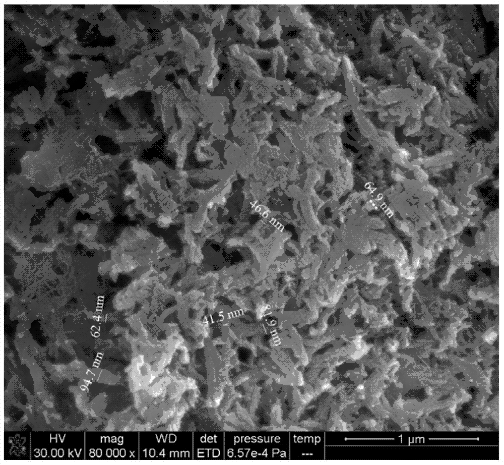 Porous polyaniline-doped nano fiber material with three-dimensional structure as well as preparation method and application of porous polyaniline-doped nano fiber material