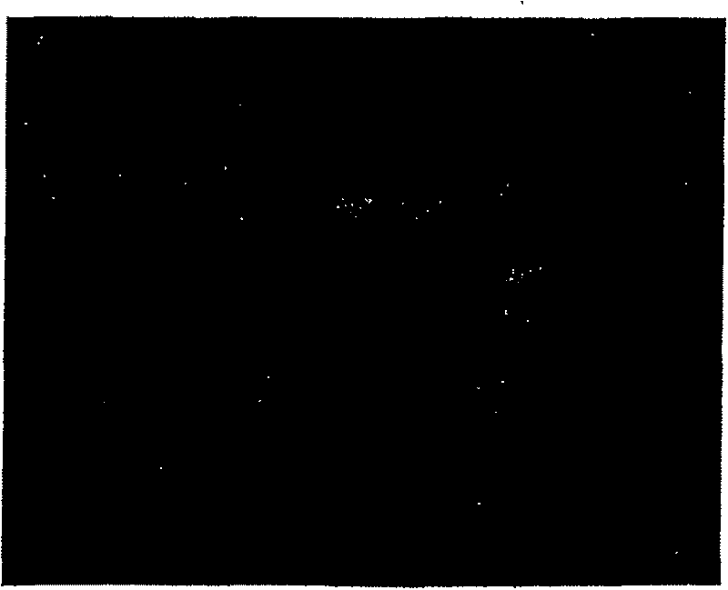 Motion compensated image averaging