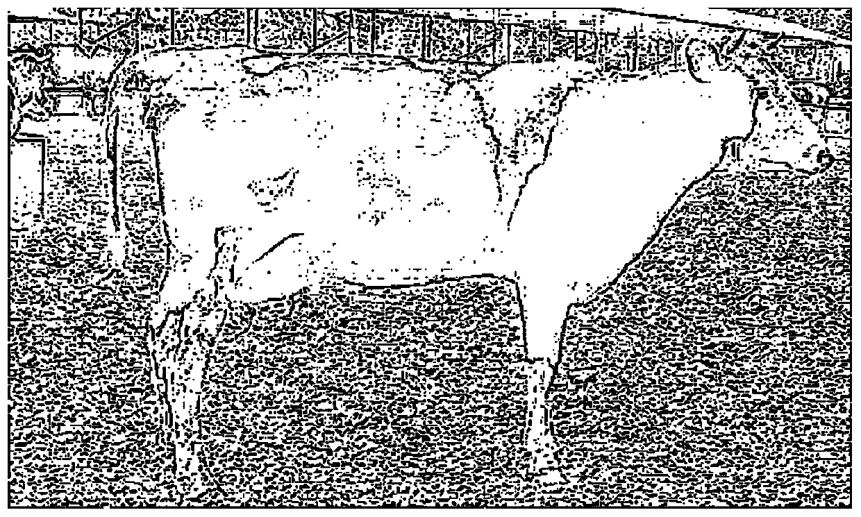 Cow Individual Recognition Method Based on Deep Convolutional Neural Network