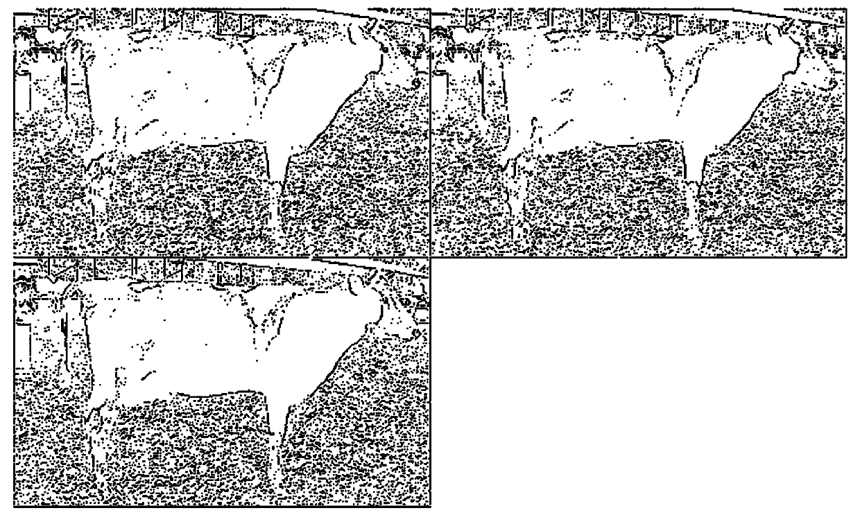 Cow Individual Recognition Method Based on Deep Convolutional Neural Network