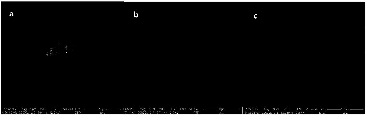 Immobilized ionic liquid magnetic functional material and method for preparing same