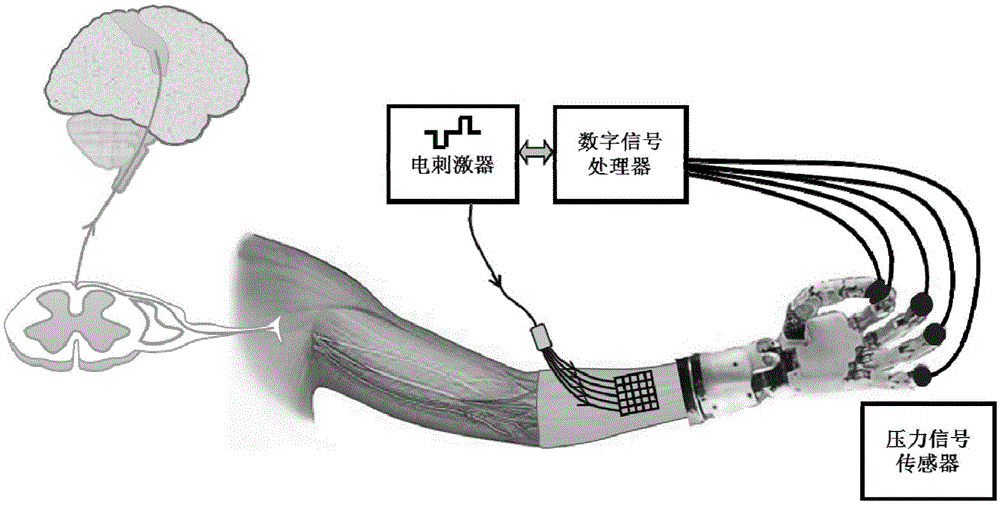 Electrical-stimulation perception feedback system for perception feedback of artificial limb hand