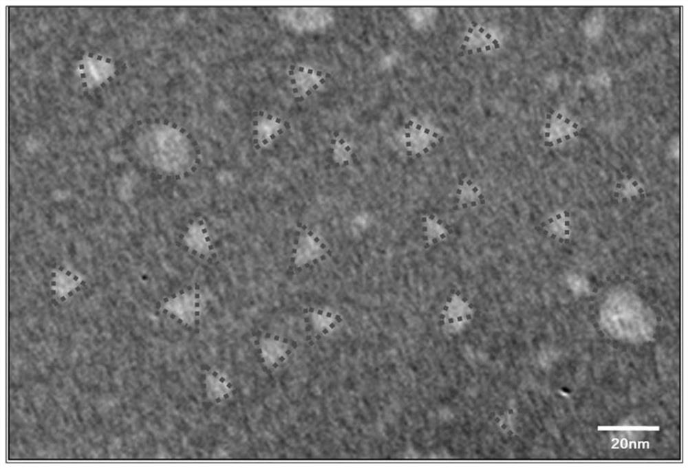 Application of dna tetrahedron in preparation of medicine for treating Alzheimer's disease