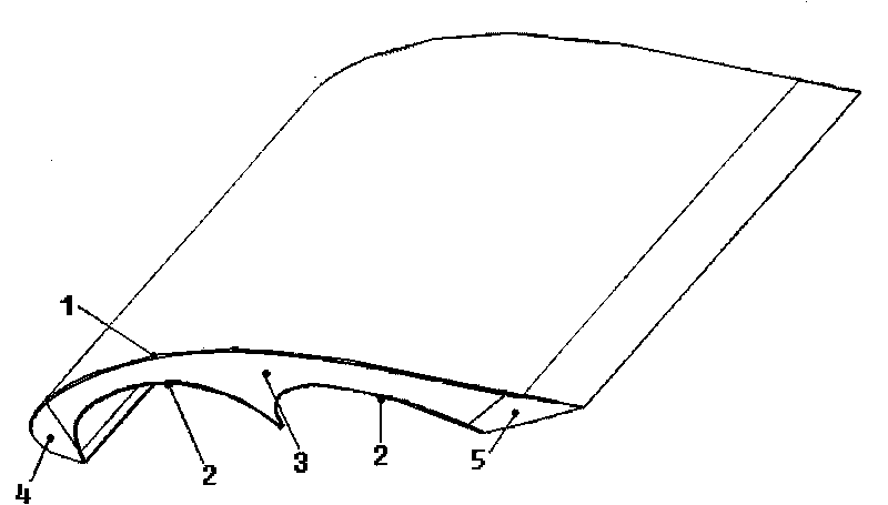 Wind-power generator blade with multiple C-shaped structure