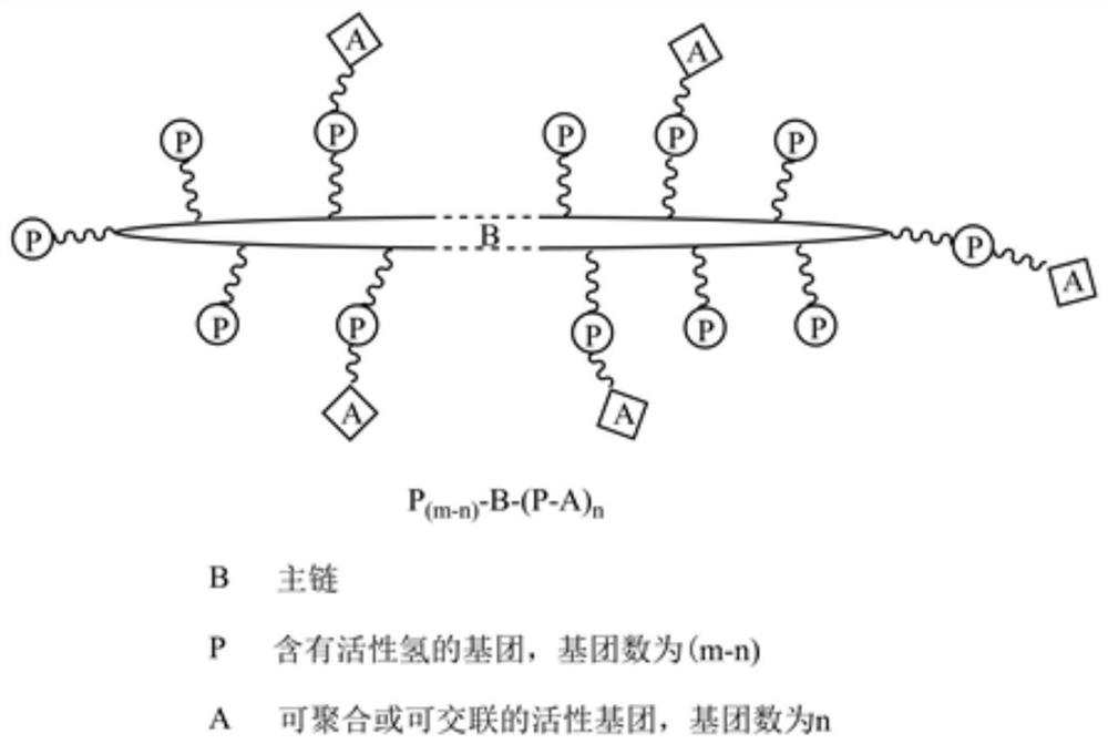 A long-lasting hydrophilic material