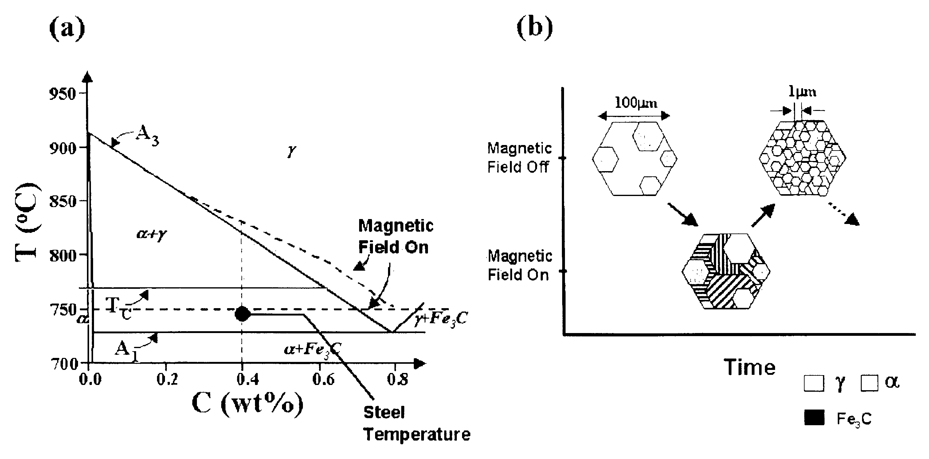 Grain refinement of alloys using magnetic field processing