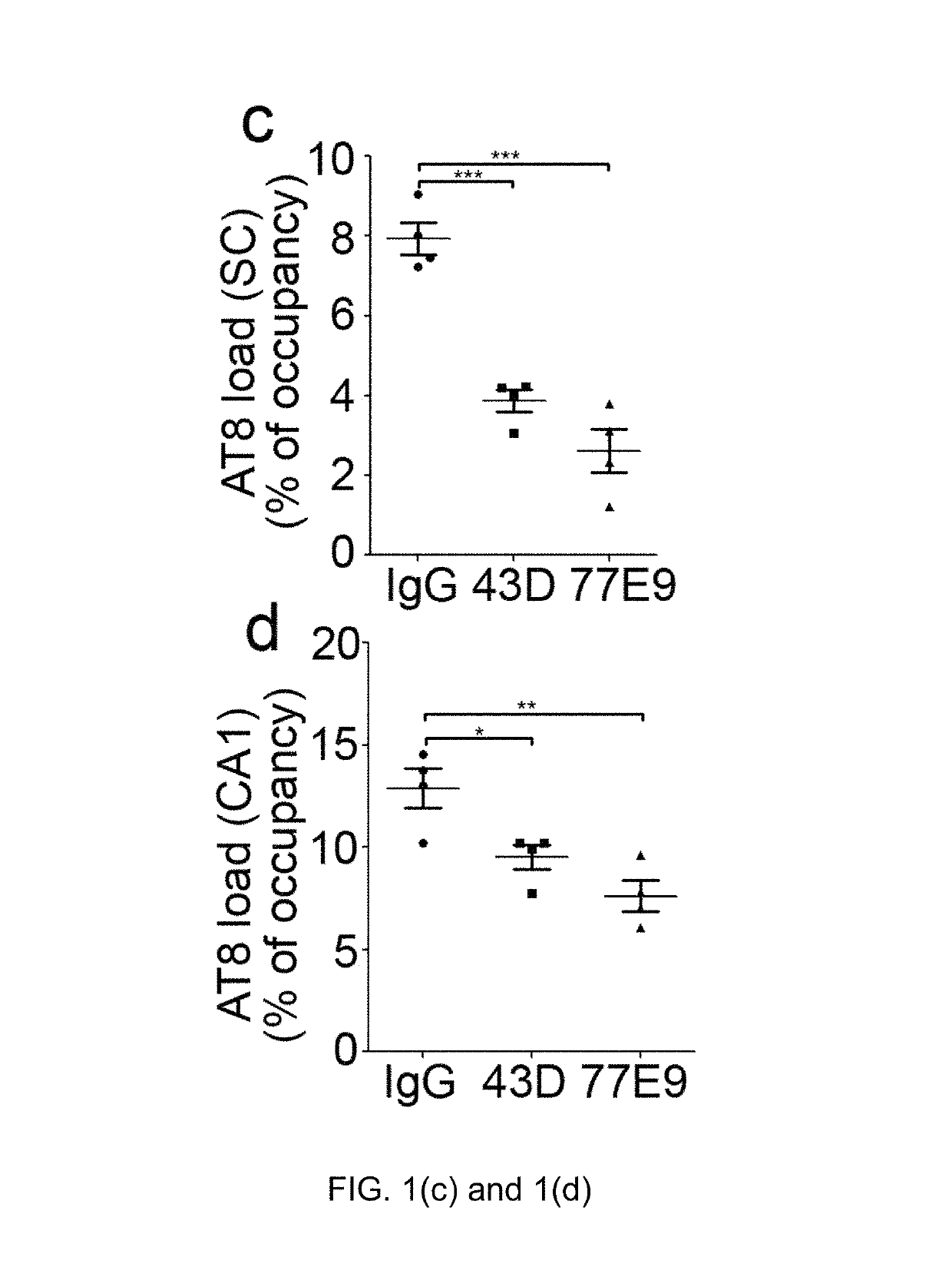 Treatment of tauopathies by passive immunization targeting the N-terminal projection domain of tau