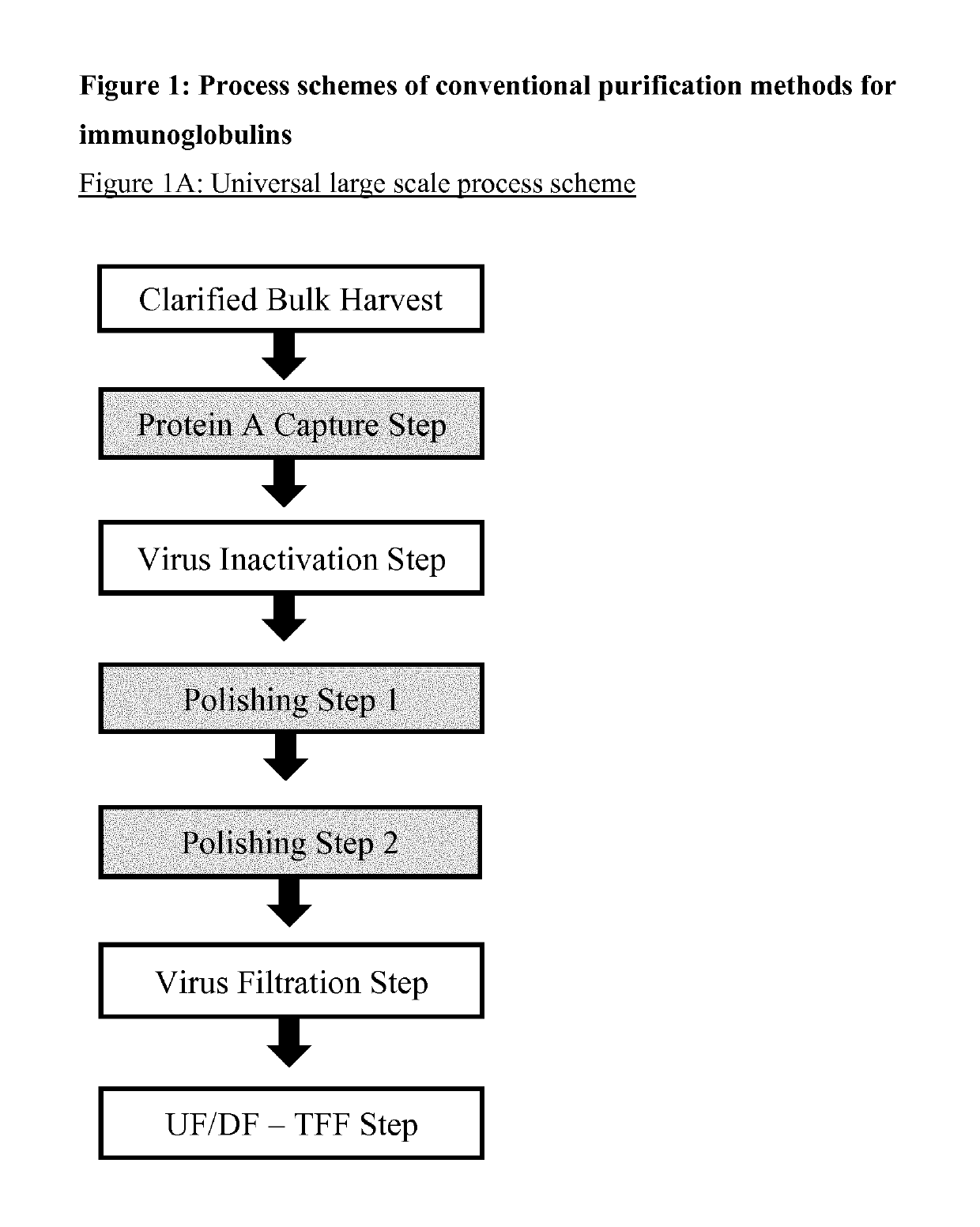 Immunoglobulin purification using pre-cleaning steps